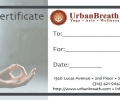 Gift Certificate